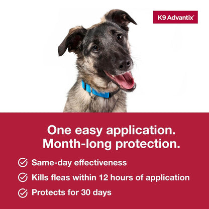 K9 Advantix Large Dog 2pk