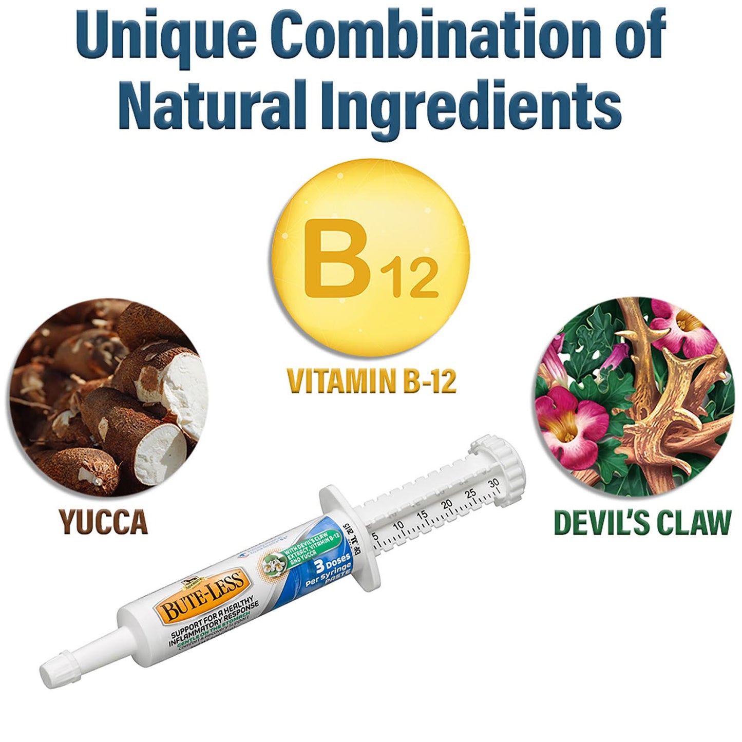 b-l paste 30cc