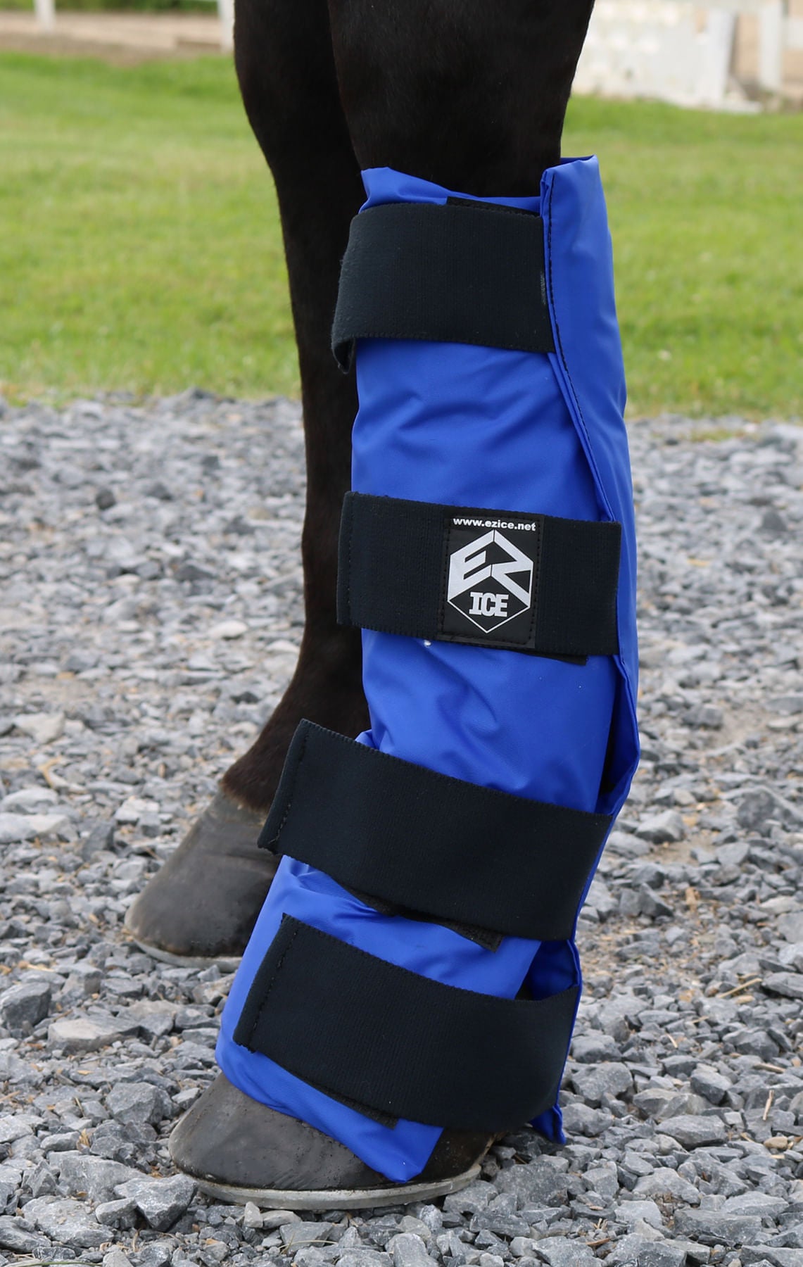 ez ice hoof combo boot, blue