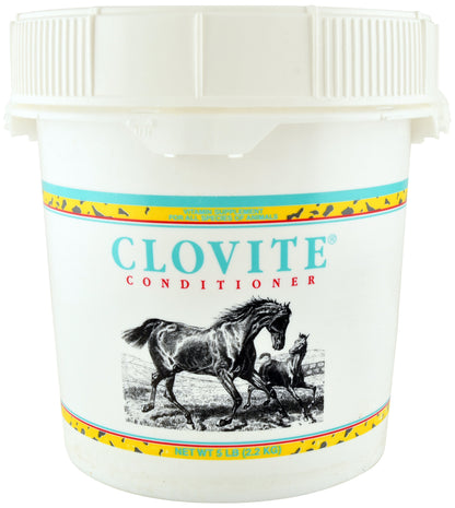Clovite, 5 lb