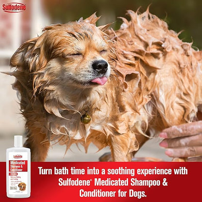 Sulfodene Medi Shampoo & Cond 12oz