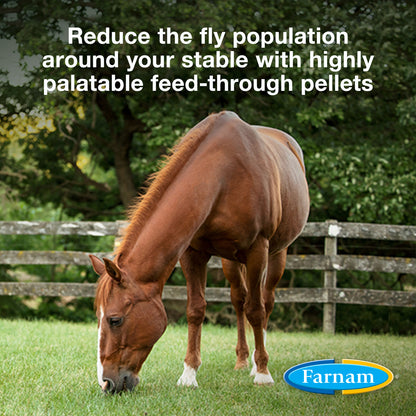 SimpliFly with Larvastop Feed Control, 10 lb