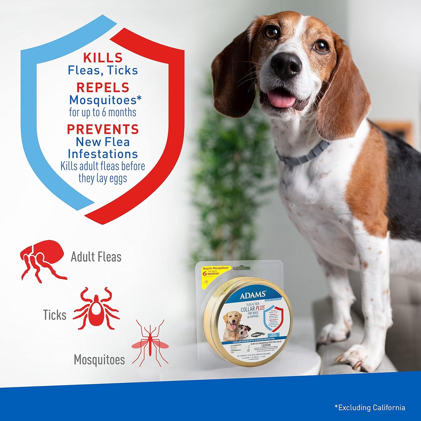adams plus premium gold flea & tick collar for dogs, 2 pack, one size