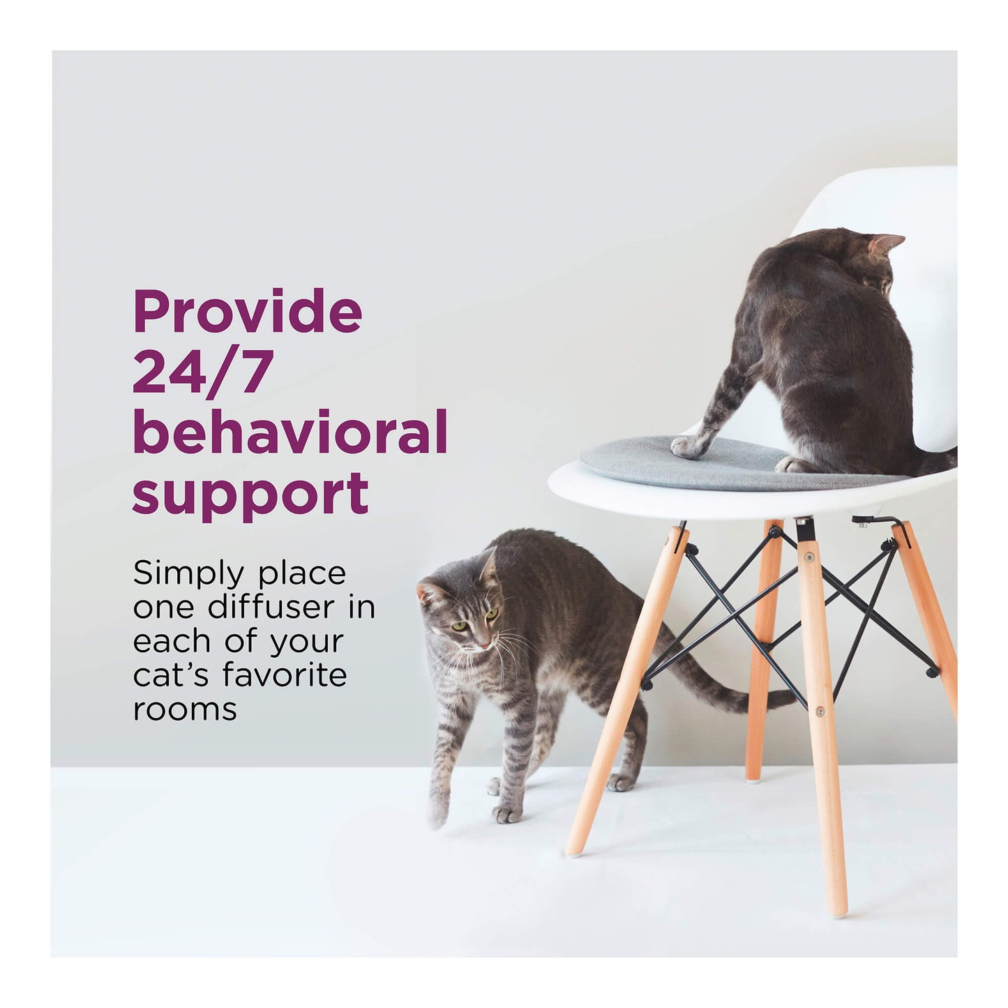 comfort zone multicat calming diffuser kit, cat pheromone  3 diffusers and 6 refills-48ml, new formula