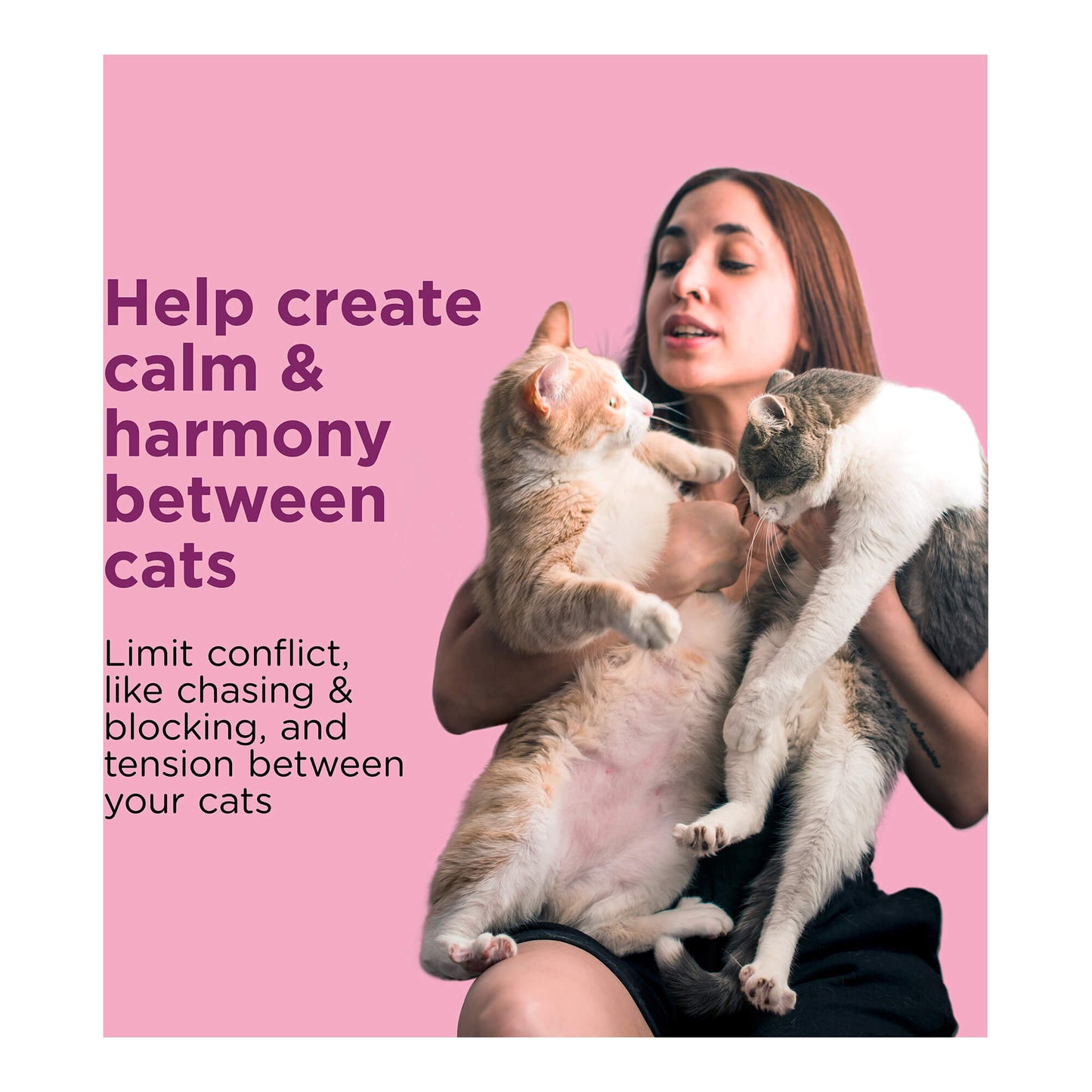comfort zone multicat calming diffuser refill, 48 ml-2 pack, 60 day use