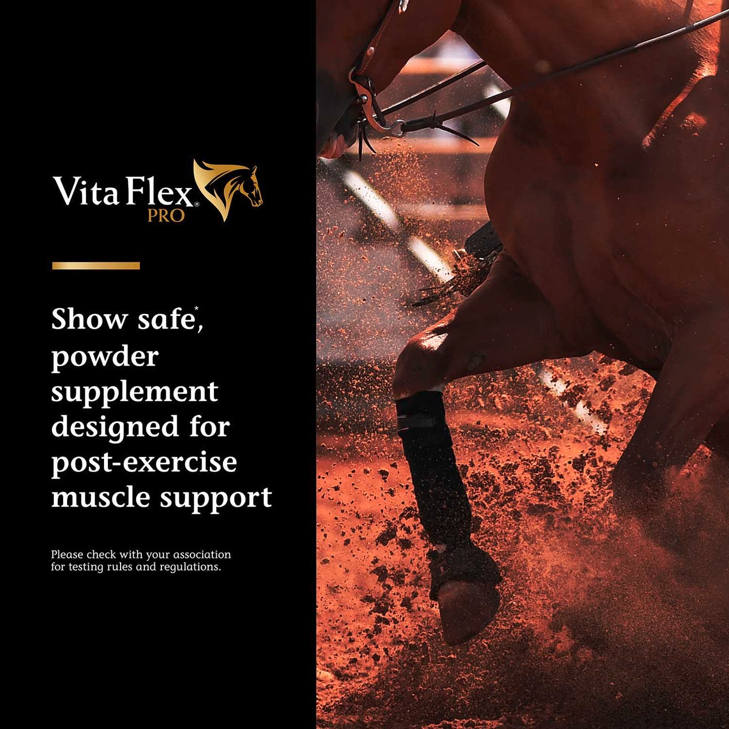 vita flex pro recovery post performance supplement, single serve packet