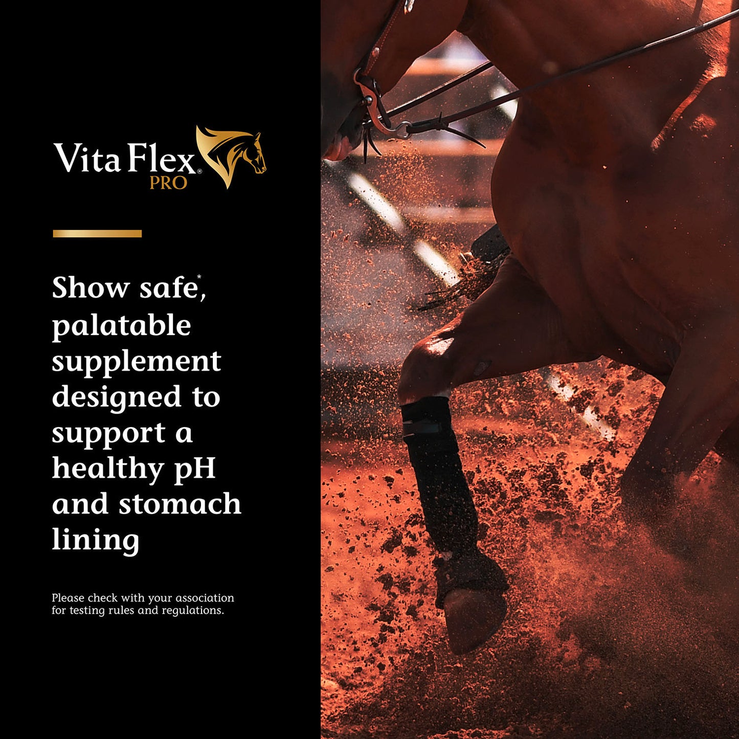 vita flex pro daily gastric care, 16.5 pounds