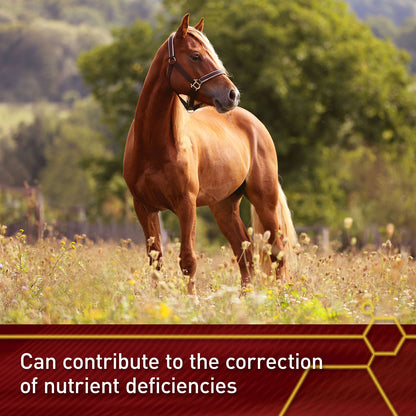 Vita Flex E and Selenium Supplement for Horses, Balanced Essential Antioxidants, 64 Day Supply