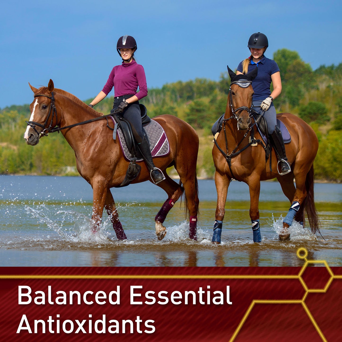 vita flex e and selenium supplement for horses, balanced essential antioxidants, 64 day supply