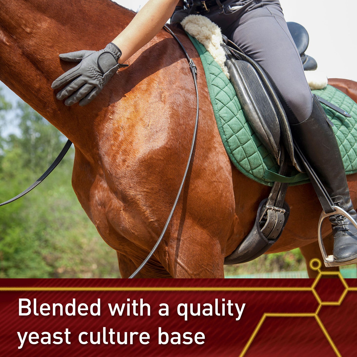 vita flex e and selenium supplement for horses, balanced essential antioxidants, 64 day supply