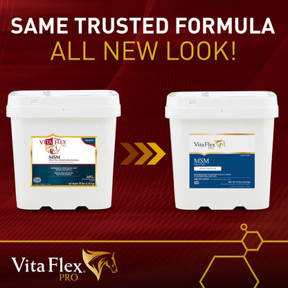 Vita Flex Pro MSM Quality Joint Supplement for Horses, Dogs and Cats, 10 lbs