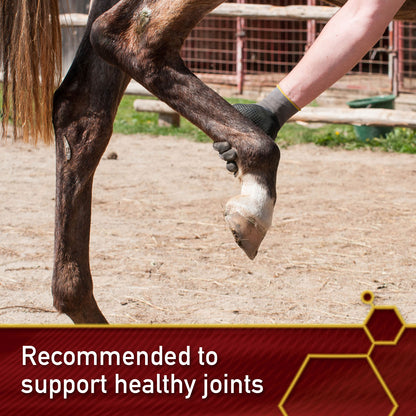 Vita Flex Pro MSM Quality Joint Supplement for Horses, Dogs and Cats, 4 lbs