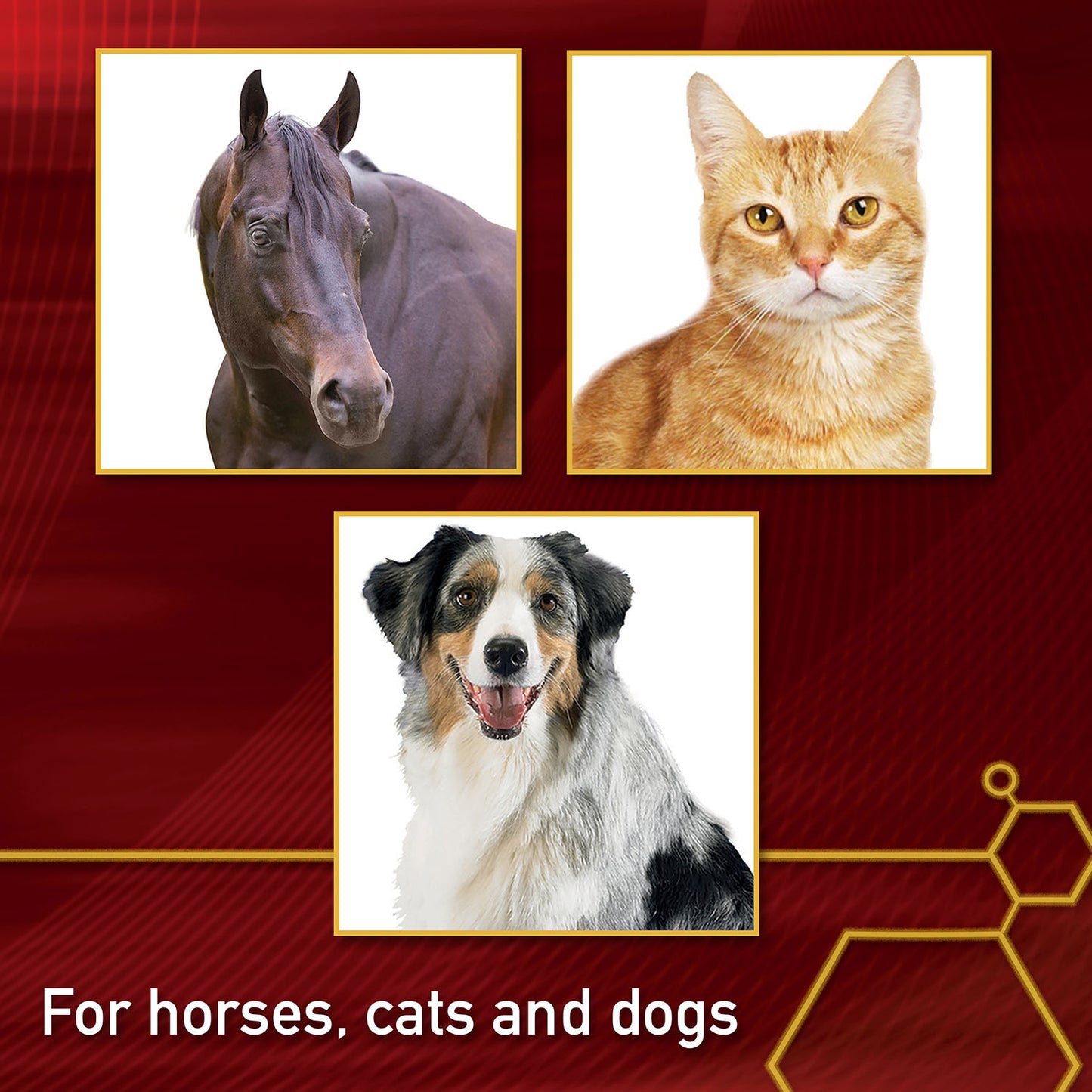 vita flex pro msm quality joint supplement for horses, dogs and cats, 4 lbs