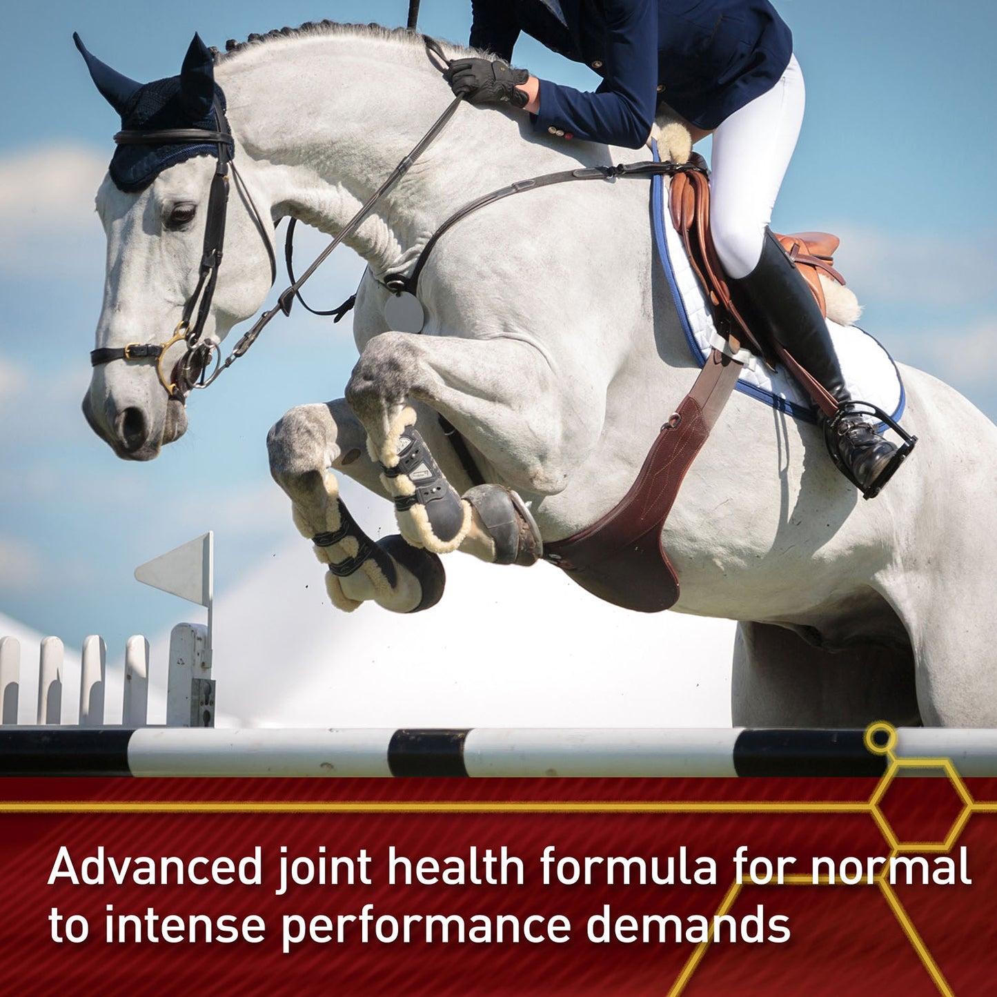 vita flex equinyl combo joint formula horse joint supplement, 60 day supply