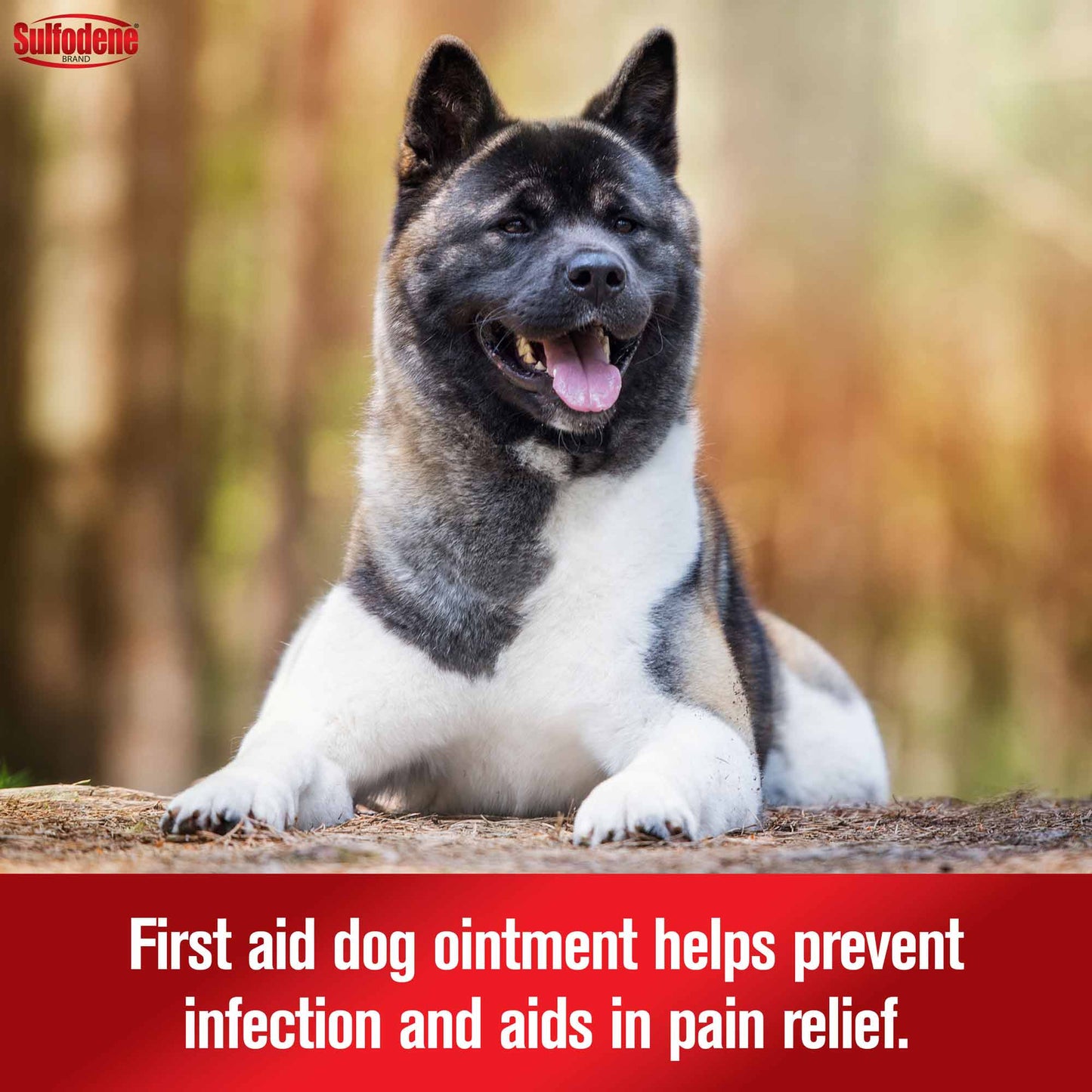 sulfodene 3-way ointment for dogs, 2 oz