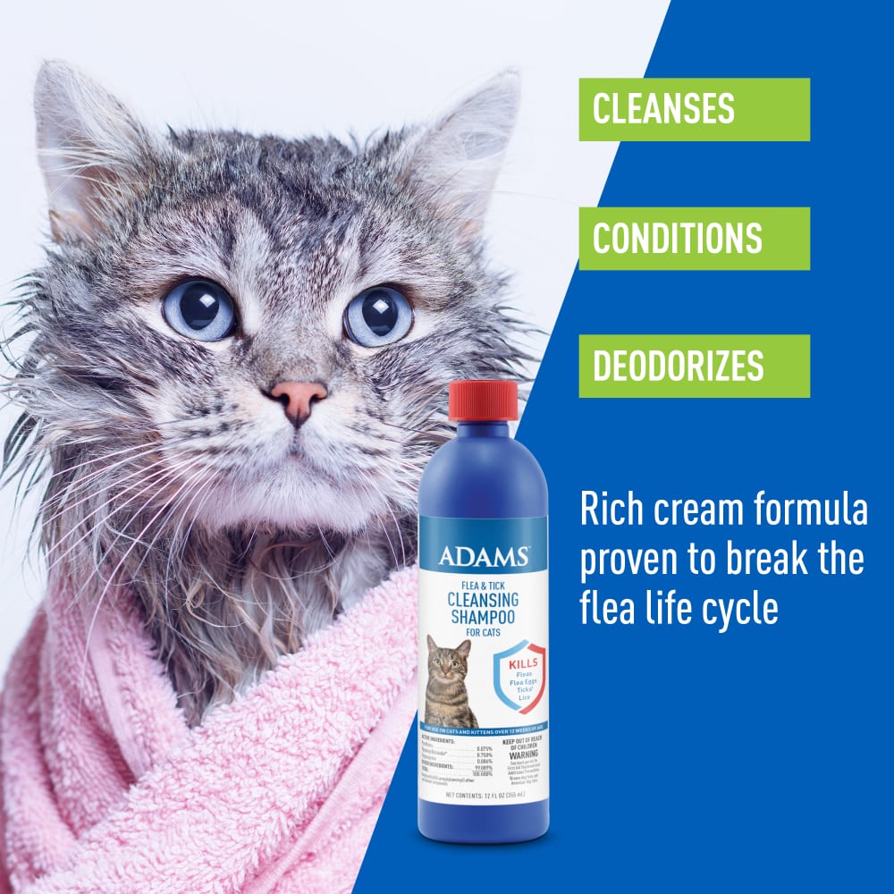 adams flea & tick cleansing shampoo for cats, 12 oz