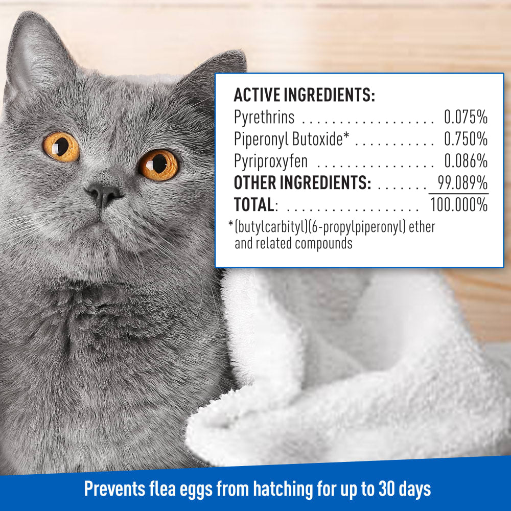 adams flea & tick cleansing shampoo for cats, 12 oz