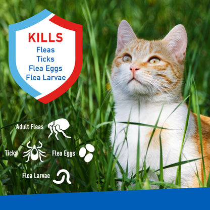 ADAMS Flea & Tick Spray For Cats, 16 oz