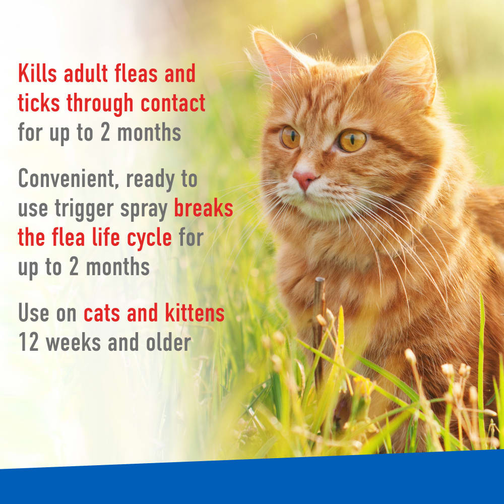 adams flea & tick spray for cats, 16 oz