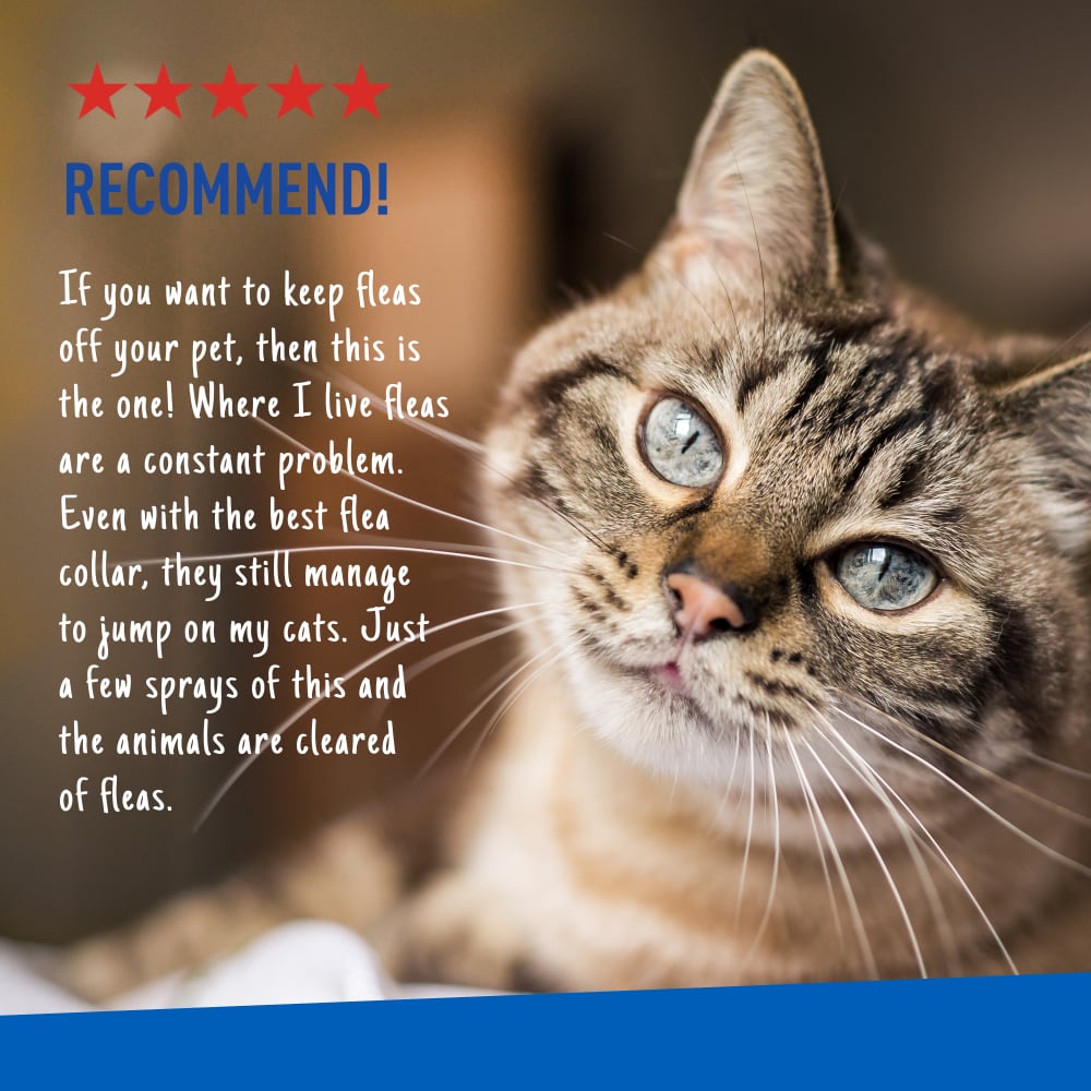 adams flea & tick spray for cats, 16 oz