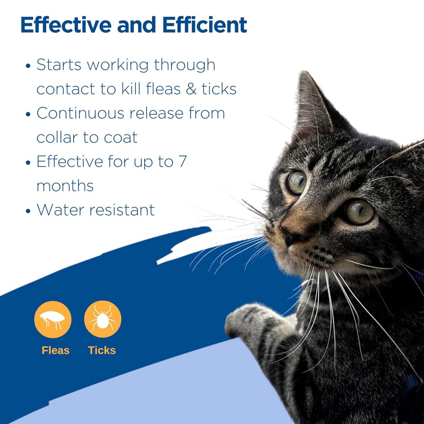 zodiac breakaway flea and tick collar for cats 1 pack