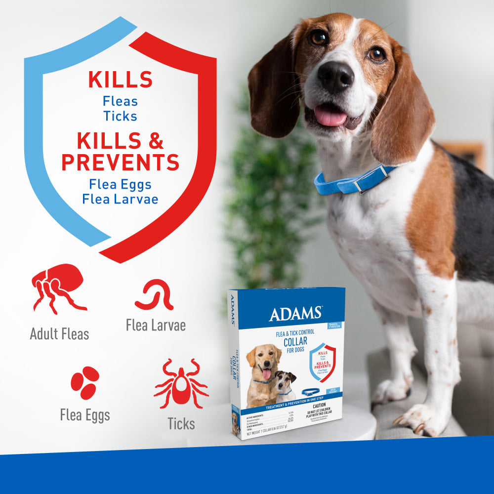 adams flea & tick control collar for dogs, 7-month protection, adjustable one size collar fits all