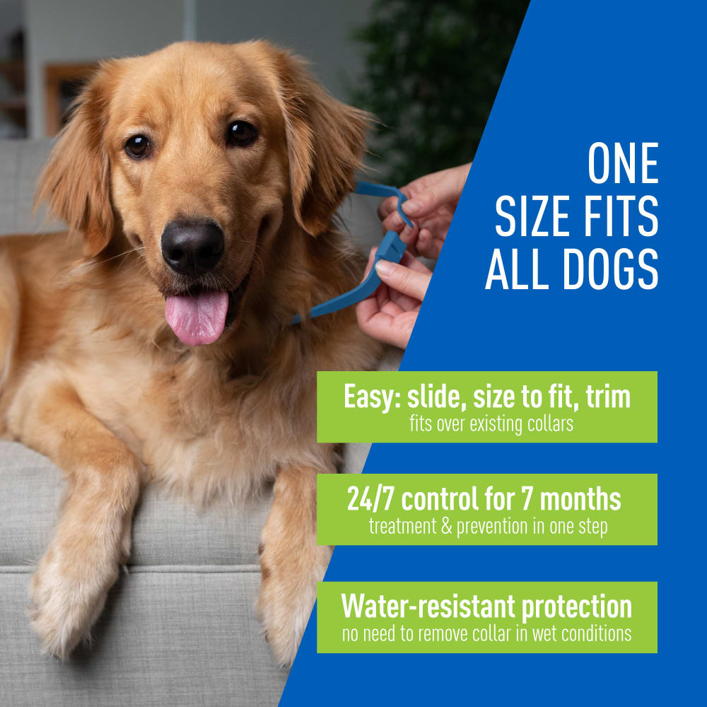 adams flea & tick control collar for dogs, 7-month protection, adjustable one size collar fits all