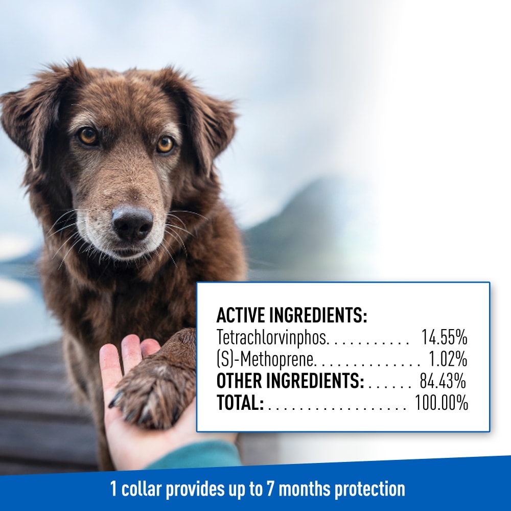 adams flea & tick control collar for dogs, 7-month protection, adjustable one size collar fits all