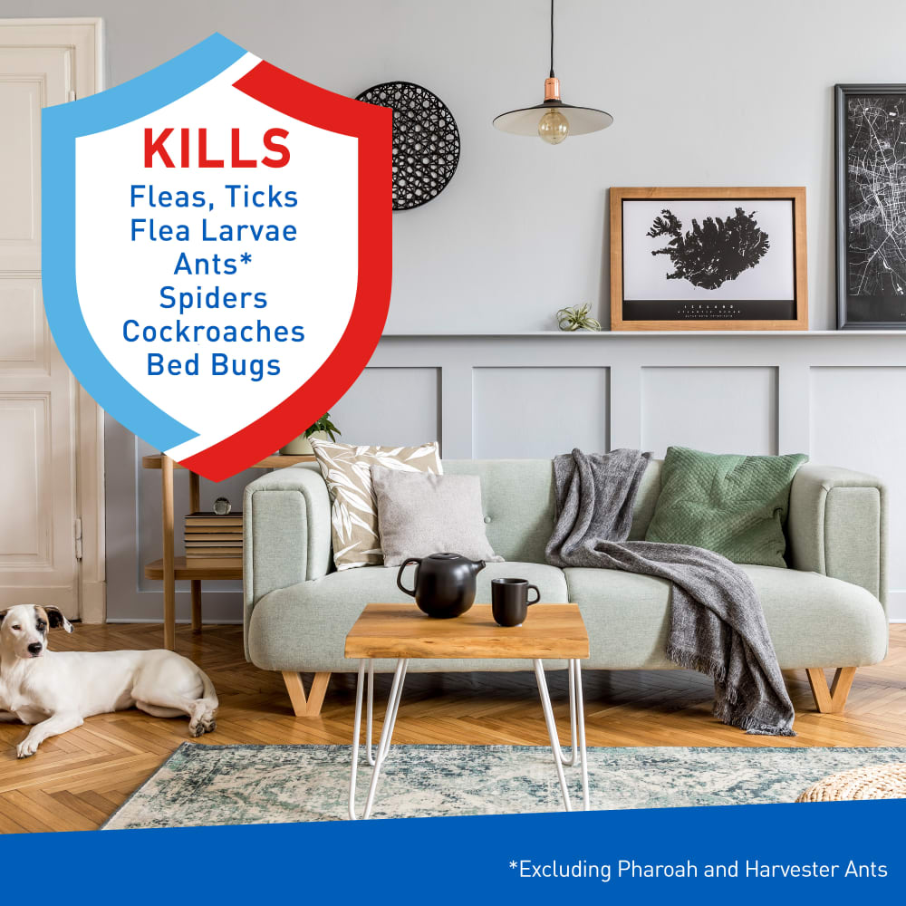adams flea & tick carpet & home spray, 7-month flea protection, treats up to 2k sq ft, 16 oz