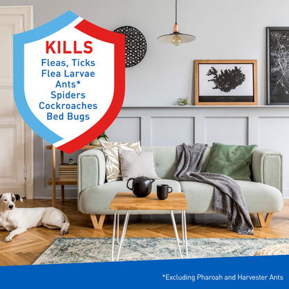 ADAMS Flea & Tick Carpet & Home Spray, 7-Month Flea Protection, Treats Up to 2K Sq Ft, 16 oz
