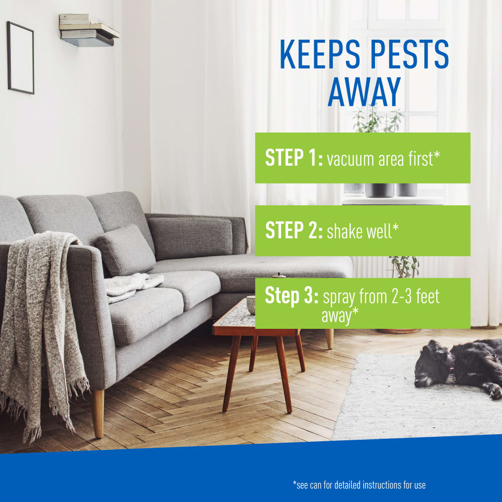 adams flea & tick carpet & home spray, 7-month flea protection, treats up to 2k sq ft, 16 oz