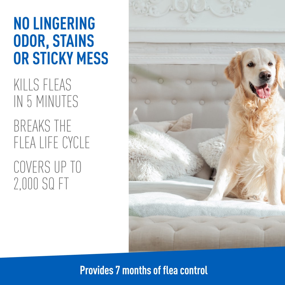 adams flea & tick carpet & home spray, 7-month flea protection, treats up to 2k sq ft, 16 oz