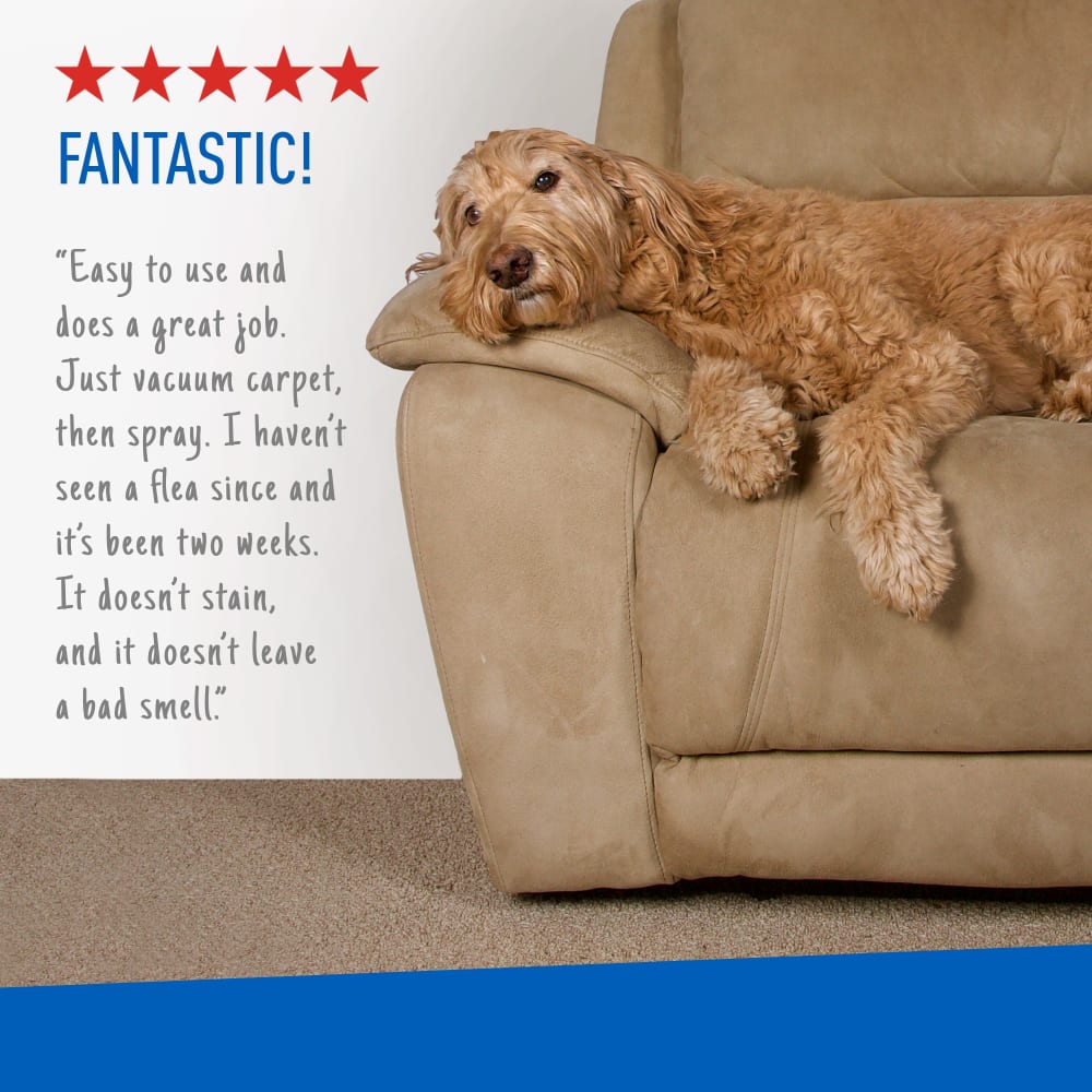 adams flea & tick carpet & home spray, 7-month flea protection, treats up to 2k sq ft, 16 oz