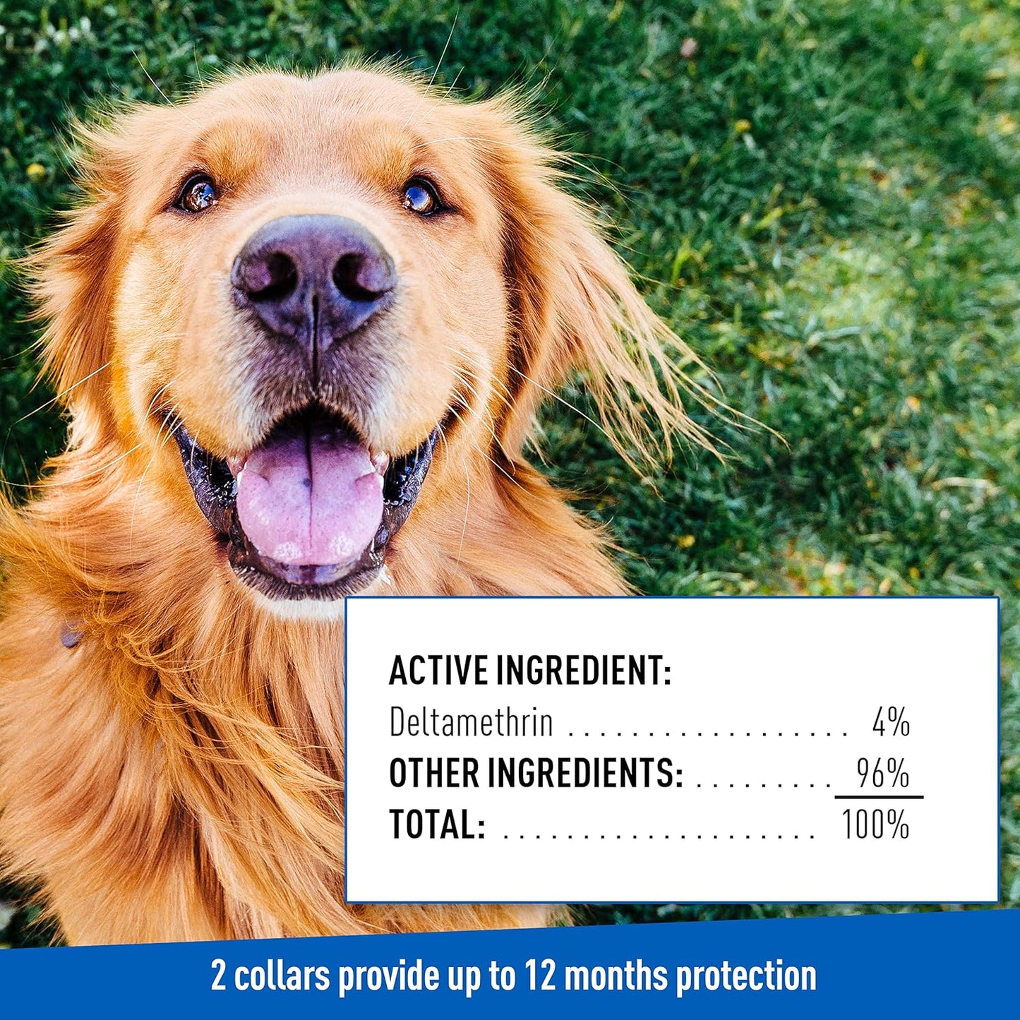 adams flea & tick collar for dogs & puppies, 2 pack, 12 months protection, adjustable one size collar fits all dogs 12 weeks & older