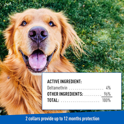 ADAMS Flea & Tick Collar for Dogs & Puppies, 2 Pack, 12 Months Protection, Adjustable One Size Collar Fits All Dogs 12 Weeks & Older