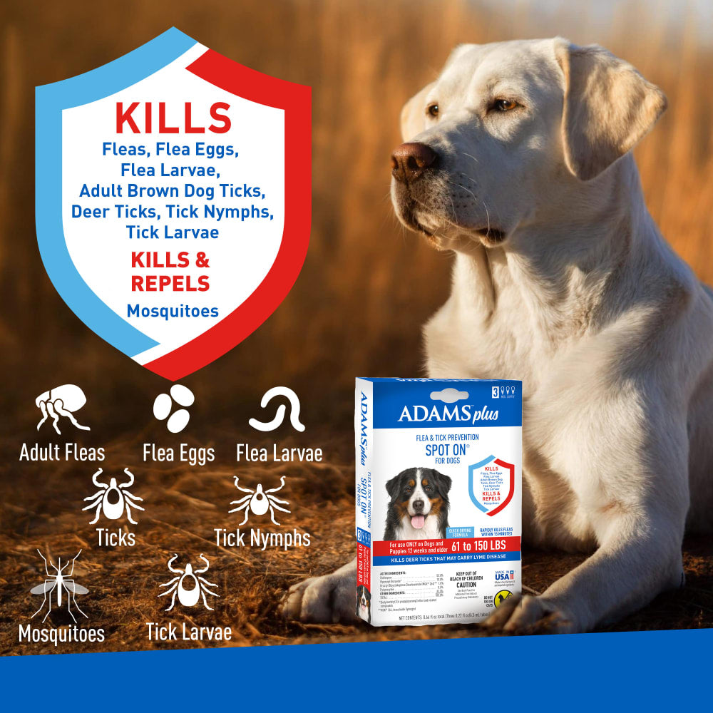 adams plus flea & tick prevention spot on for dogs, x-large dogs 61 to 150 lbs, 3 months
