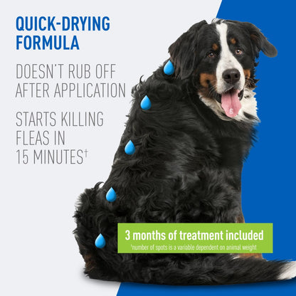 ADAMS Plus Flea & Tick Prevention Spot On for Dogs, X-Large Dogs 61 to 150 lbs, 3 months