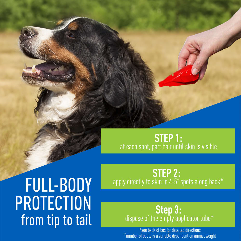 adams plus flea & tick prevention spot on for dogs, x-large dogs 61 to 150 lbs, 3 months