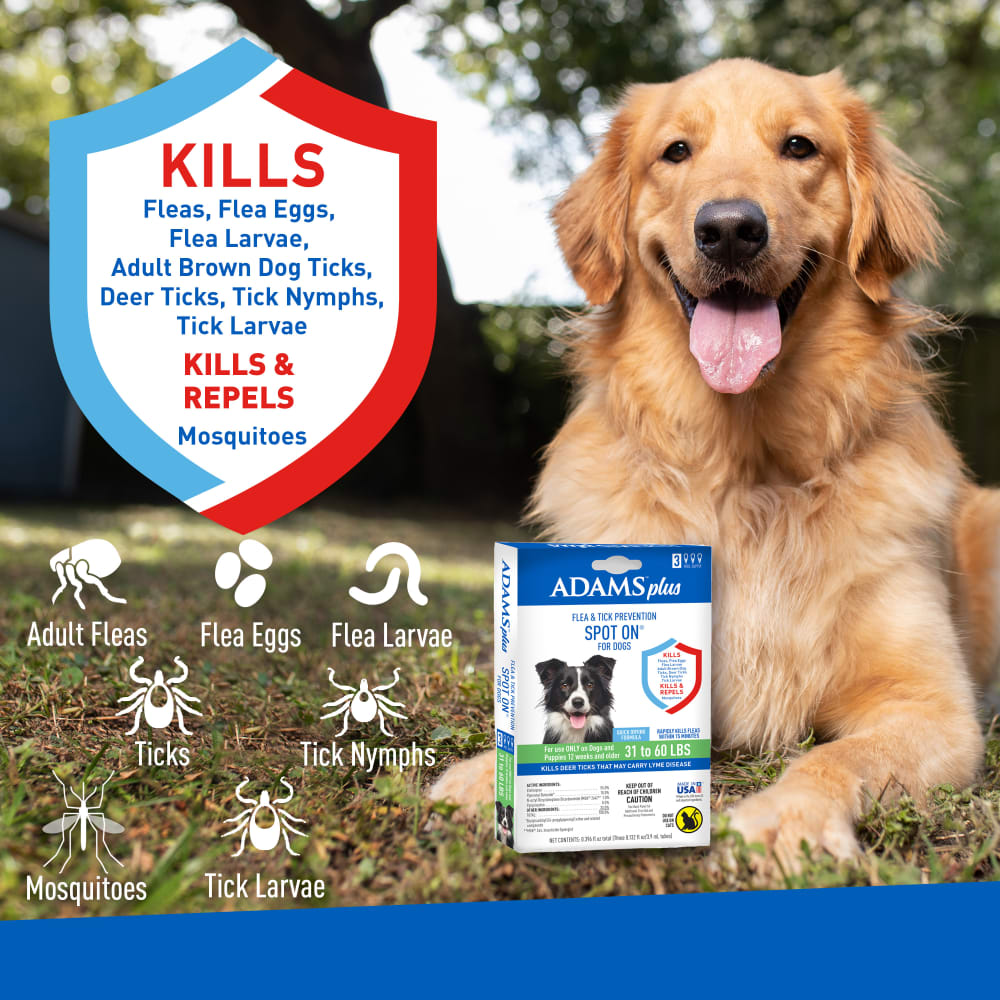 adams plus flea & tick prevention spot on for dogs, large dogs 31 to 60 lbs 3 months