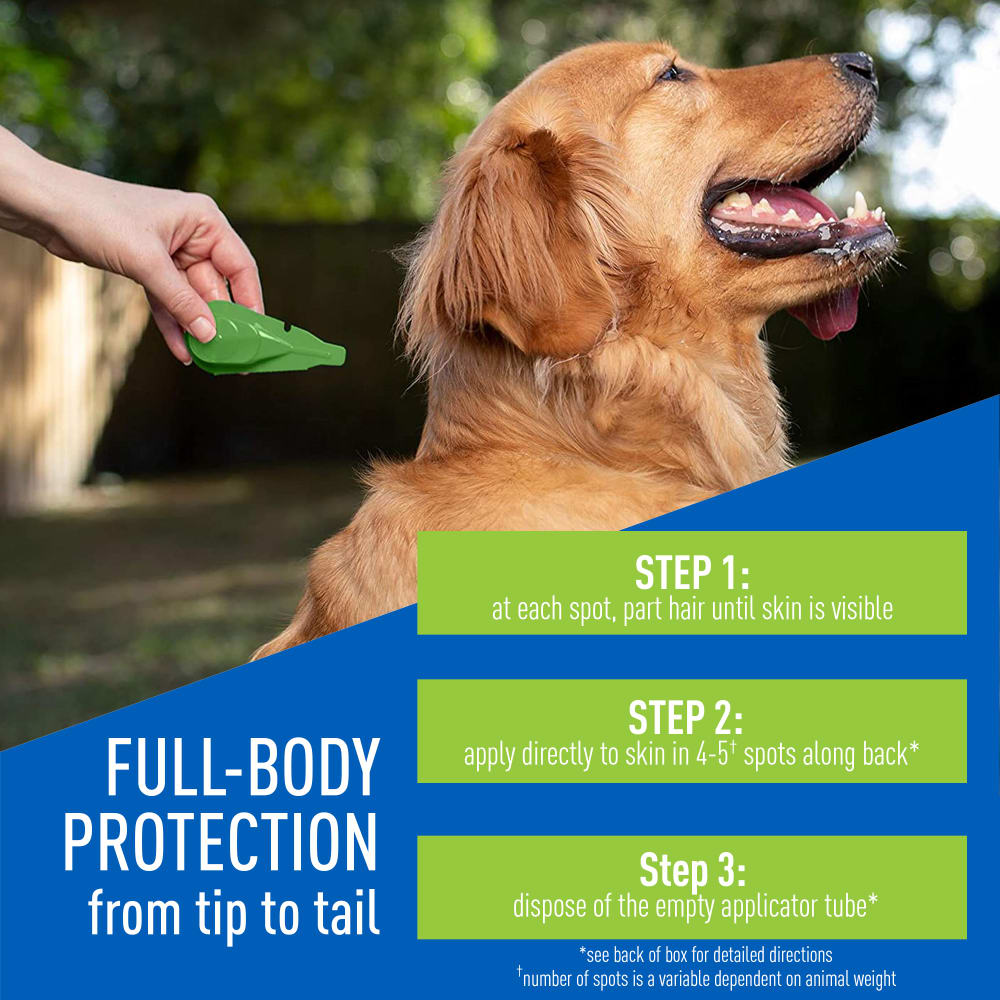 adams plus flea & tick prevention spot on for dogs, large dogs 31 to 60 lbs 3 months