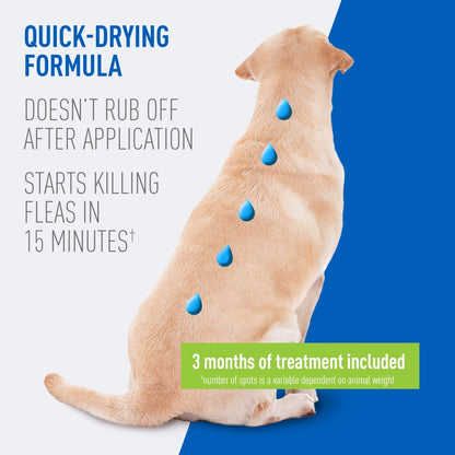 ADAMS Plus Flea & Tick Prevention Spot On for Dogs, Large Dogs 31 to 60 lbs 3 months