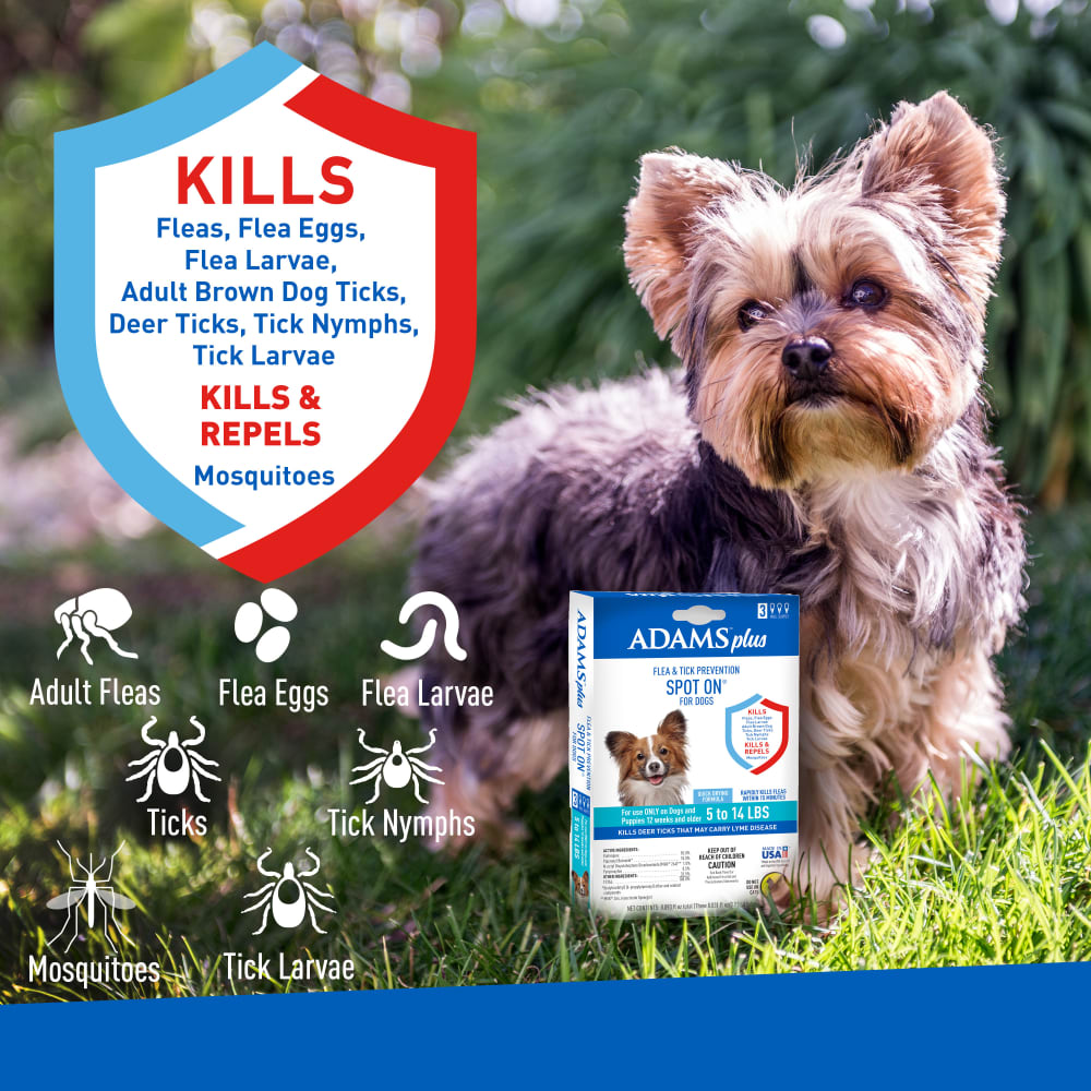adams plus flea & tick prevention spot on for dogs, small dogs 5 to 14 lbs 3 months
