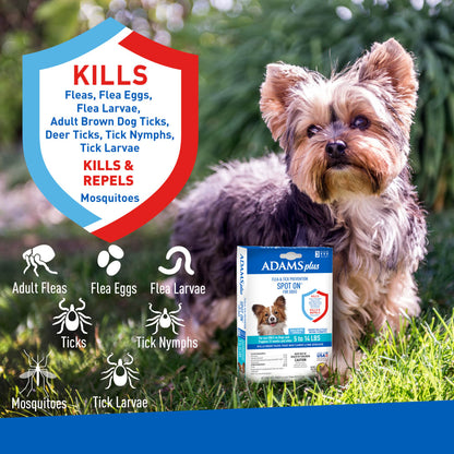 ADAMS Plus Flea & Tick Prevention Spot On for Dogs, Small Dogs 5 to 14 lbs 3 months