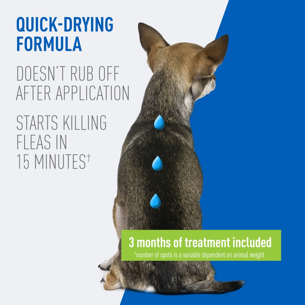 adams plus flea & tick prevention spot on for dogs, small dogs 5 to 14 lbs 3 months