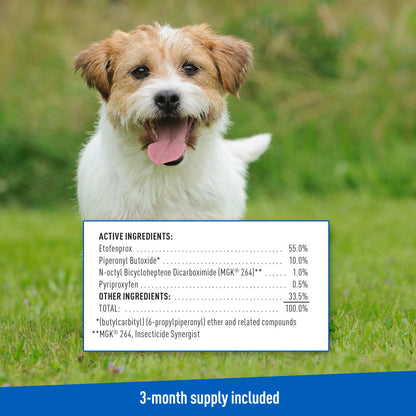 ADAMS Plus Flea & Tick Prevention Spot On for Dogs, Small Dogs 5 to 14 lbs 3 months
