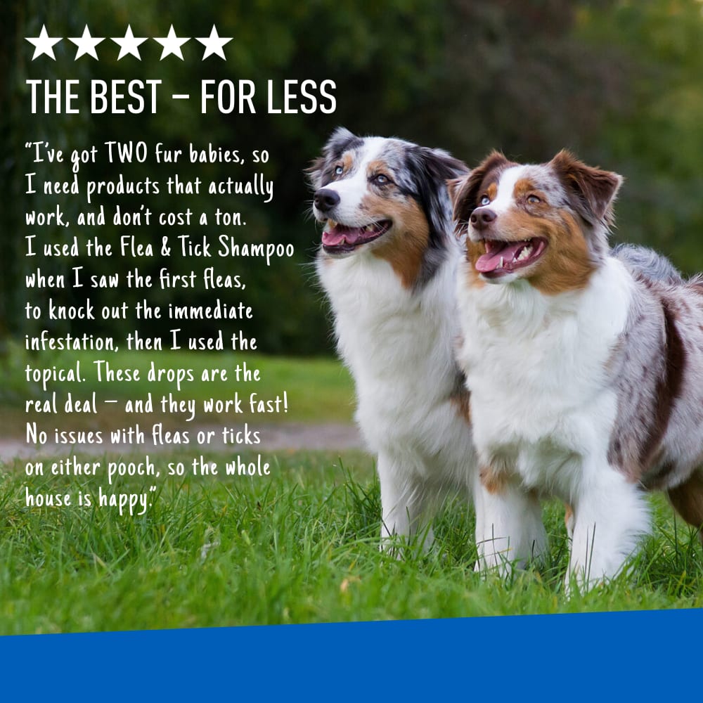adams plus flea & tick prevention spot on for dogs, small dogs 5 to 14 lbs 3 months