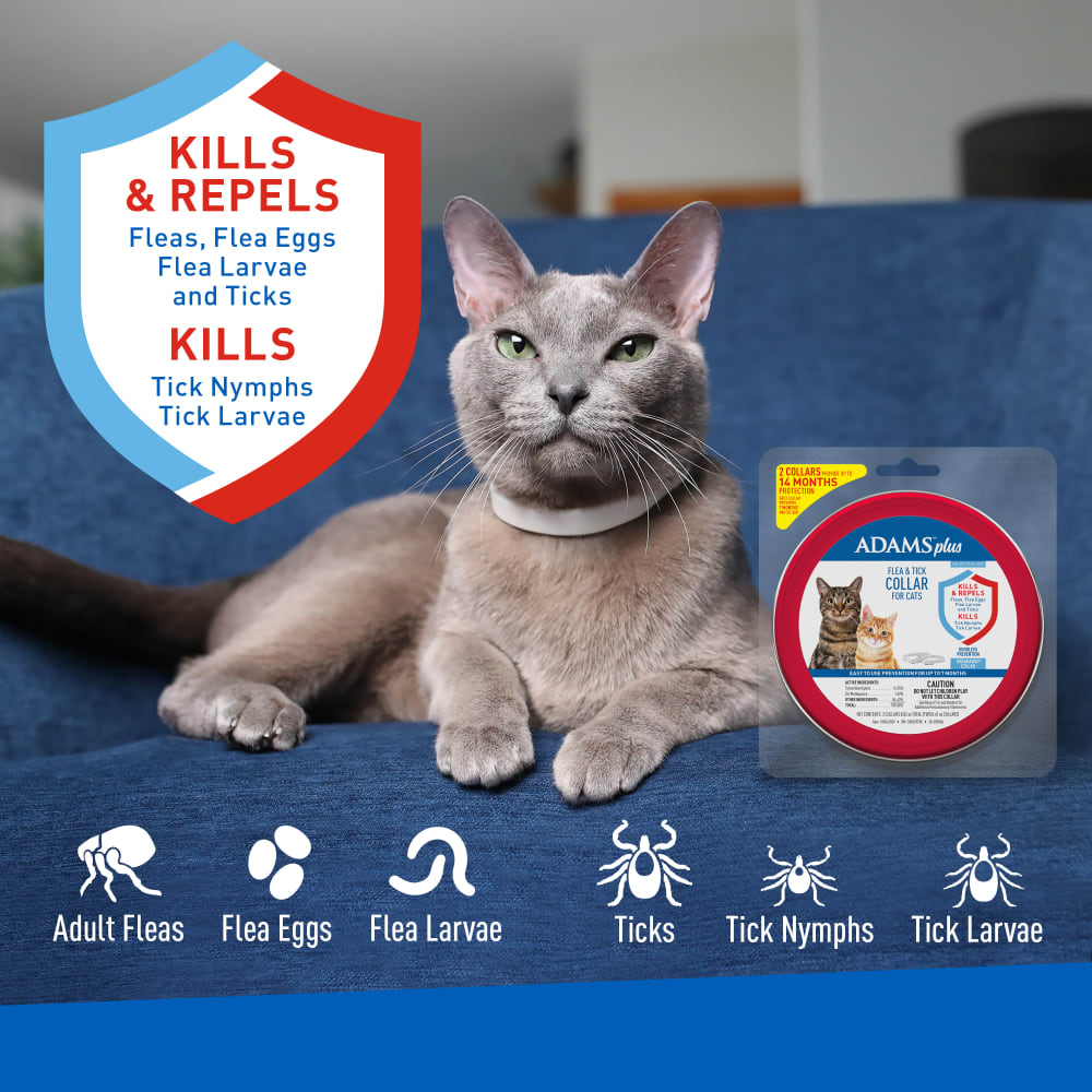 adams plus flea & tick collar for cats, breakaway collar, 2 pack, 7 months protection (flea and tick cat collar)