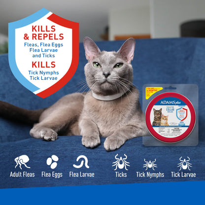 ADAMS Plus Flea & Tick Collar for Cats, Breakaway Collar, 2 Pack, 7 Months Protection (Flea and Tick Cat Collar)