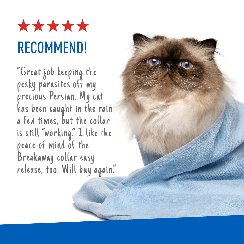 adams plus flea & tick collar for cats, breakaway collar, 2 pack, 7 months protection (flea and tick cat collar)