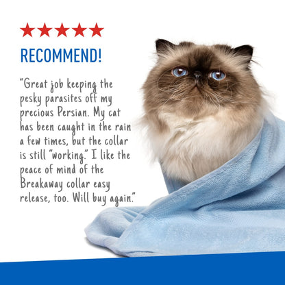 ADAMS Plus Flea & Tick Collar for Cats, Breakaway Collar, 2 Pack, 7 Months Protection (Flea and Tick Cat Collar)